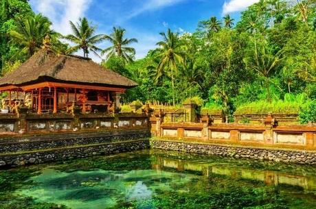 ELEGANT BALİ