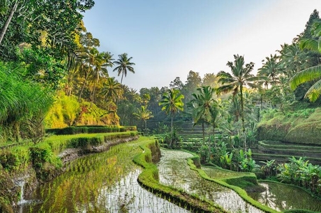 ELEGANT BALİ TURU